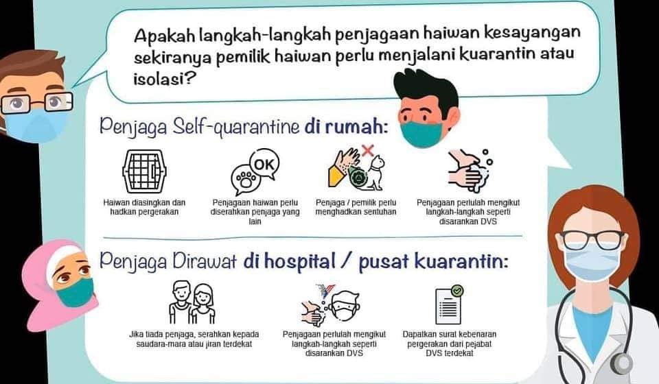 COVID19 dan haiwan 3