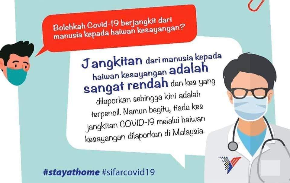 COVID19 dan haiwan 5